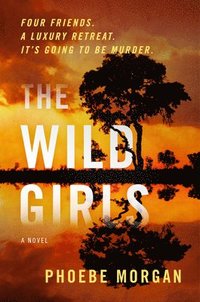 bokomslag The Wild Girls