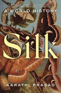 bokomslag Silk: A World History