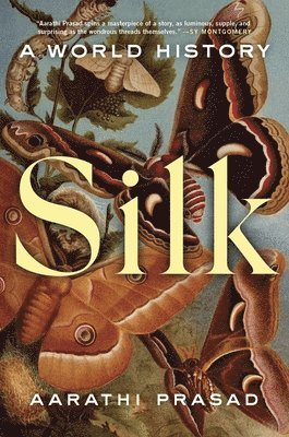 bokomslag Silk: A World History