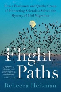 bokomslag Flight Paths