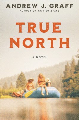 bokomslag True North