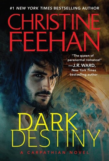Christine Feehan - Dark Destiny, Häftad