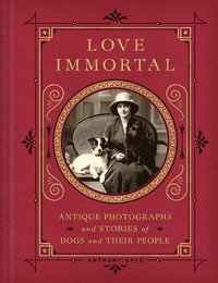 bokomslag Love Immortal