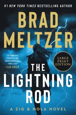 bokomslag The Lightning Rod: A Zig & Nola Novel