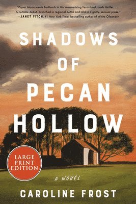 bokomslag Shadows Of Pecan Hollow