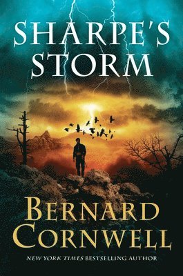 bokomslag Sharpe's Storm