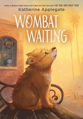 Wombat Waiting