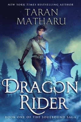 Dragon Rider 1