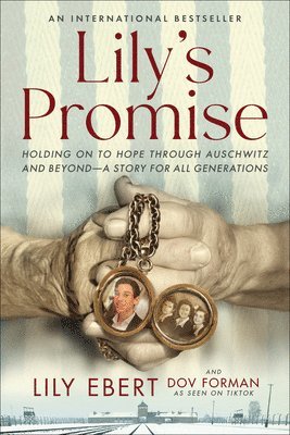 Lily's Promise 1