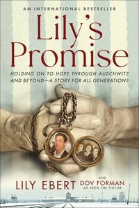 bokomslag Lily's Promise