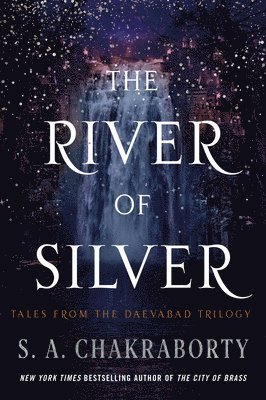 bokomslag River Of Silver