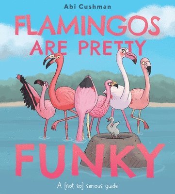 Flamingos Are Pretty Funky 1