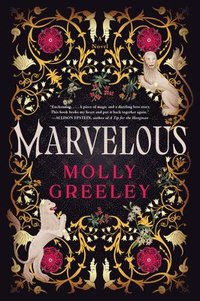 bokomslag Marvelous: A Novel of Wonder and Romance in the French Royal Court