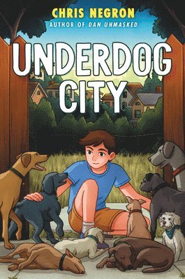 bokomslag Underdog City