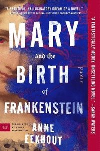 bokomslag Mary and the Birth of Frankenstein