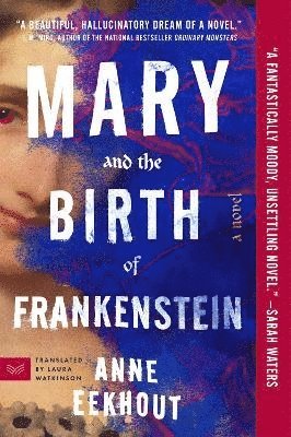 bokomslag Mary and the Birth of Frankenstein