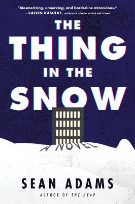 Thing In The Snow 1