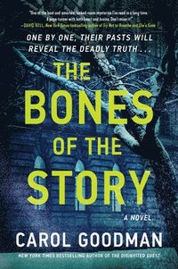 bokomslag The Bones of the Story