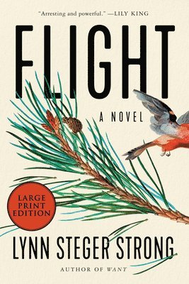 bokomslag Flight