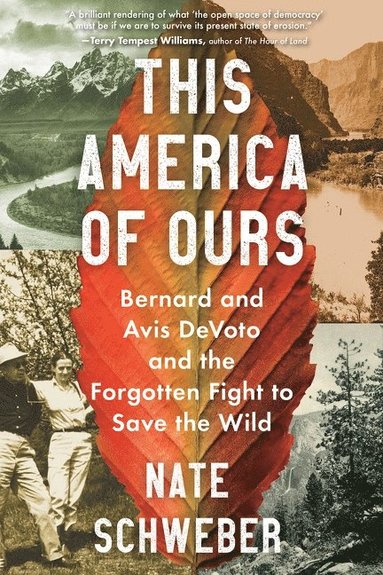 bokomslag This America of Ours
