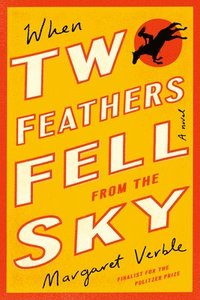 bokomslag When Two Feathers Fell from the Sky