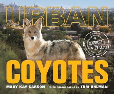 bokomslag Urban Coyotes