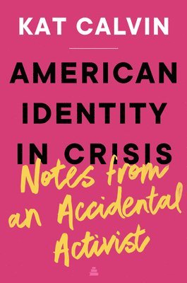 bokomslag American Identity In Crisis: Notes From An Accidental Activist