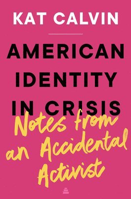 American Identity In Crisis: Notes From An Accidental Activist 1
