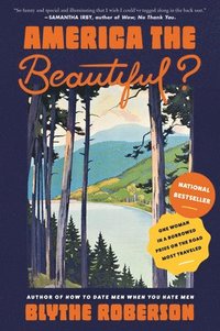 bokomslag America the Beautiful?