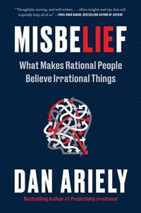 bokomslag Misbelief: What Makes Rational People Believe Irrational Things