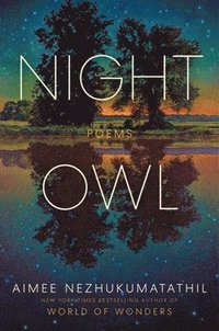 bokomslag Night Owl