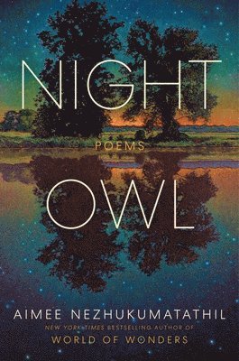 bokomslag Night Owl