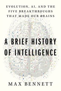 bokomslag Brief History of Intelligence, A