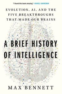 bokomslag A Brief History of Intelligence: Evolution, Ai, and the Five Breakthroughs That Made Our Brains