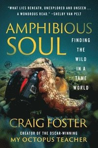 bokomslag Amphibious Soul