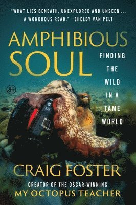 bokomslag Amphibious Soul: Finding the Wild in a Tame World