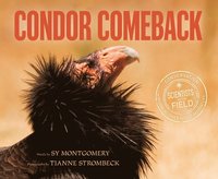 bokomslag Condor Comeback