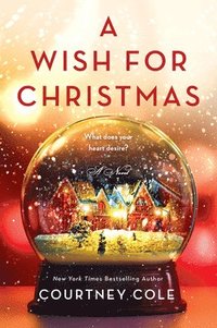 bokomslag A Wish for Christmas