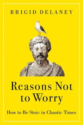 bokomslag Reasons Not To Worry