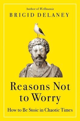 bokomslag Reasons Not to Worry: How to Be Stoic in Chaotic Times