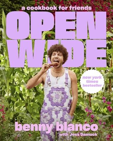 benny blanco, Jess Damuck - Open Wide, Inbunden