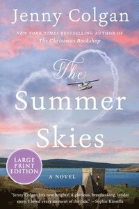 bokomslag The Summer Skies