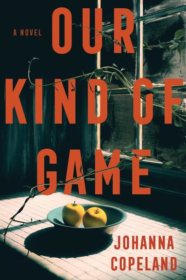 bokomslag Our Kind of Game
