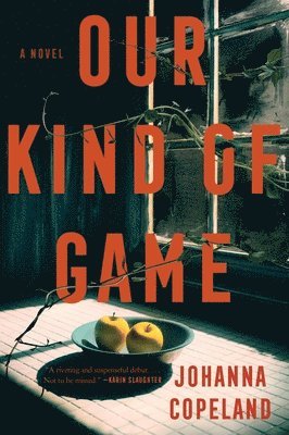 bokomslag Our Kind of Game