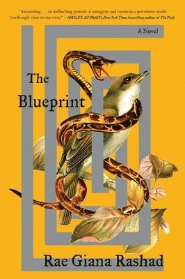 The Blueprint 1