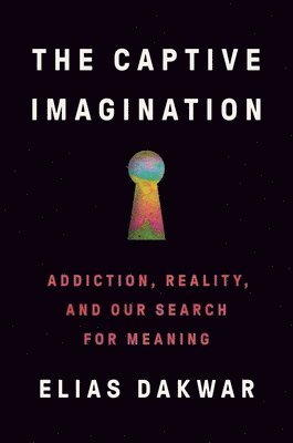 bokomslag The Captive Imagination: Addiction, Reality, and Our Search for Meaning