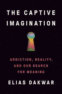 Elias Dakwar - The Captive Imagination: Addiction, Reality, and Our Search for Meaning, Inbunden