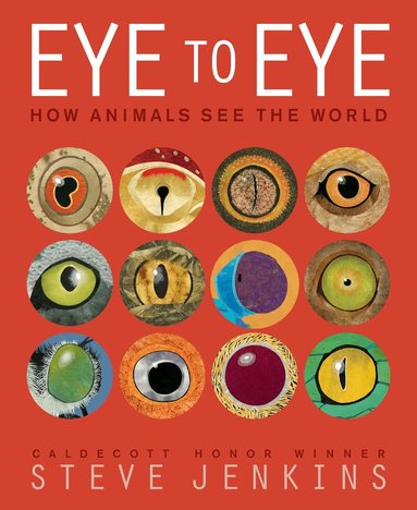 Steve Jenkins - Eye to Eye/How Animals See the World, Häftad