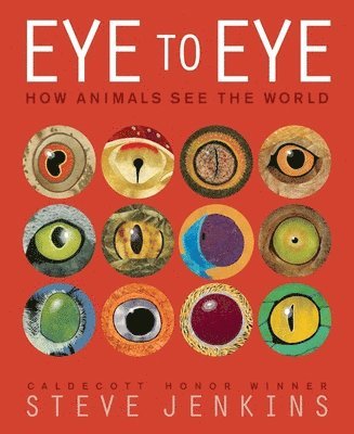 bokomslag Eye to Eye/How Animals See the World