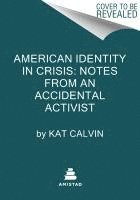 Kat Calvin - American Identity in Crisis: Notes from an Accidental Activist, Häftad